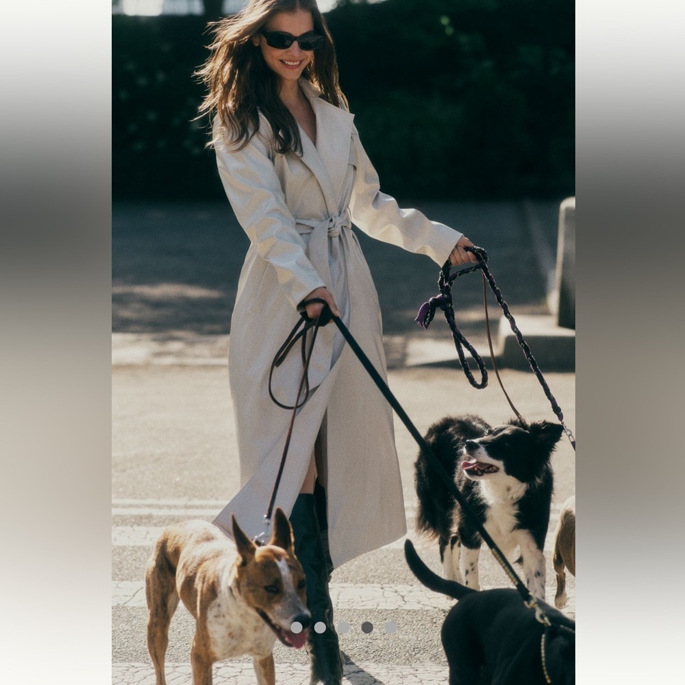 Anthropologie NWT High-Shine Trench Coat size 12. - Picture 2 of 9